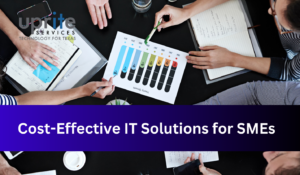 Cost-Effective IT Solutions for Small and Medium-Sized Enterprises