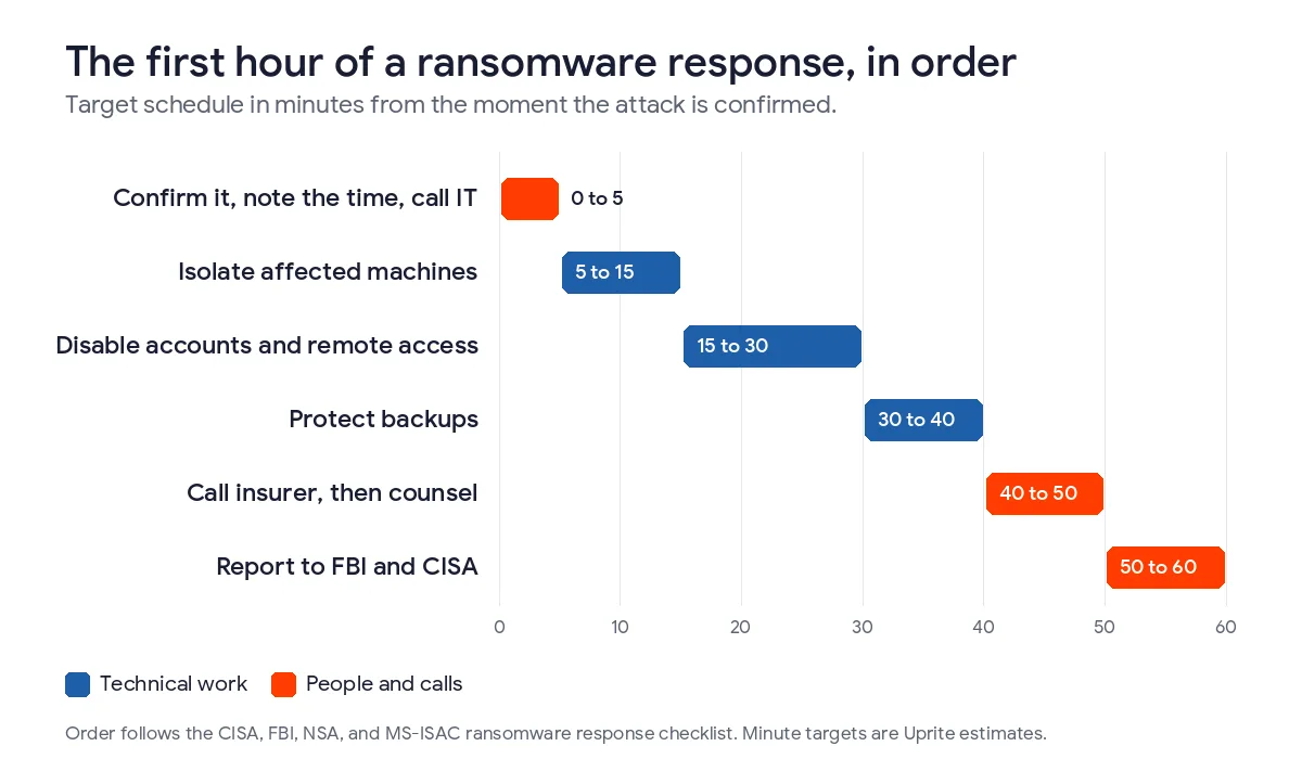 Timeline chart of the first 60 minutes of a ransomware response, from confirming the attack and calling IT, through isolating machines, disabling accounts, protecting backups, calling the insurer and counsel, to reporting to the FBI and CISA